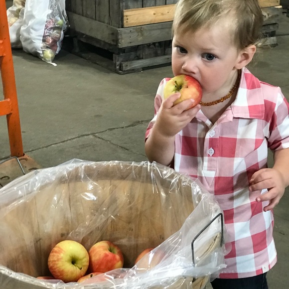 Well dressed wolf (Omi Jo) 18 mo. Boy collared cotton shirt - Picture 2 of 6